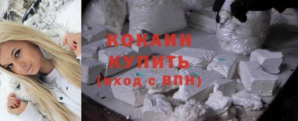 гашик Арсеньев