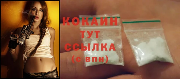 гашик Арсеньев