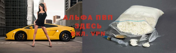 гашик Арсеньев