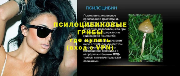 гашик Арсеньев