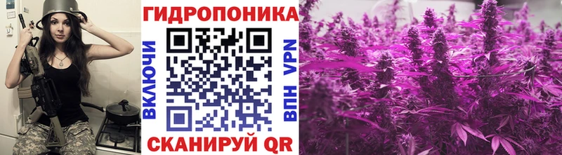 Бошки Шишки план  Аткарск 
